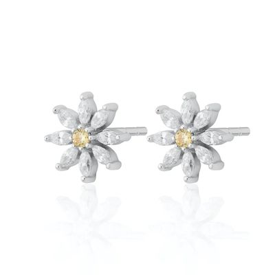 925 Sterling Silver 18K Gold Plated Flower Design Stud Earrings com Marquise Cut e Claw Setting